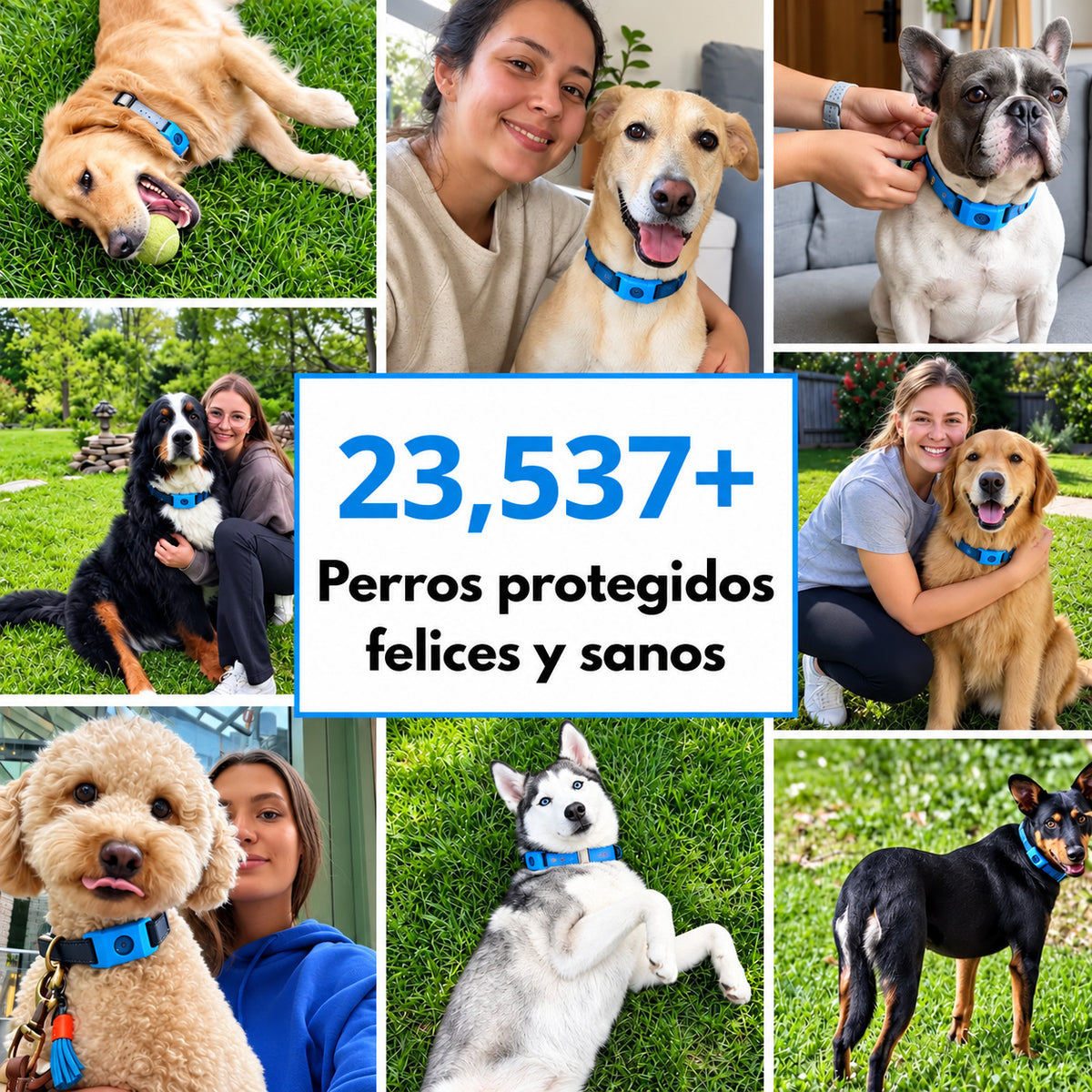 Colgante antipulgas para perros