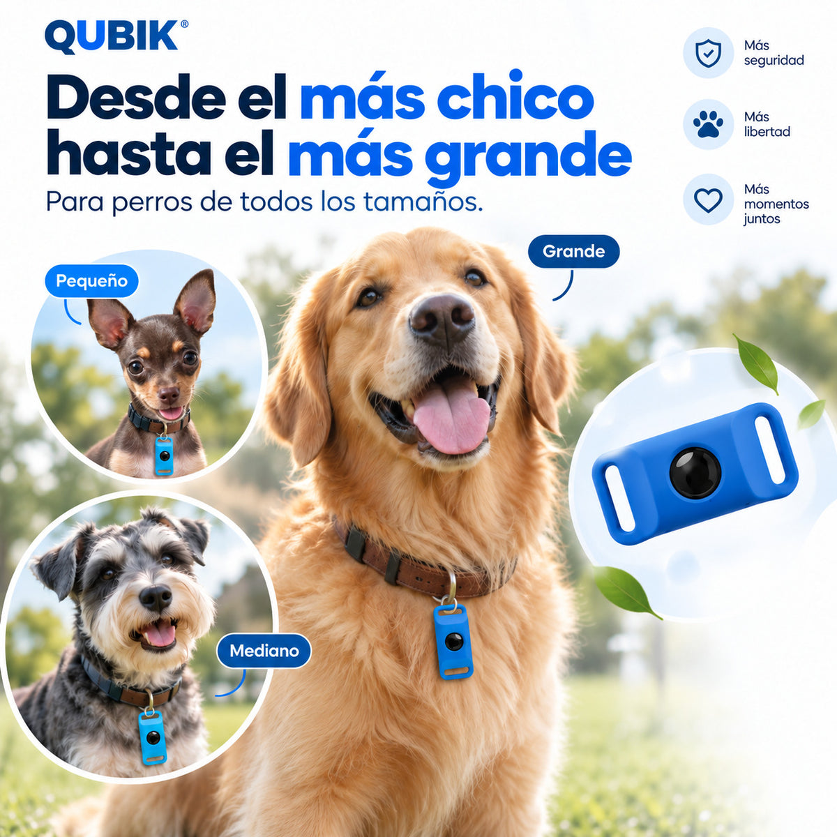 Colgante antipulgas para perros