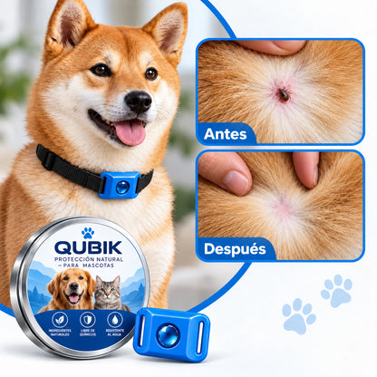 Colgante antipulgas para perros